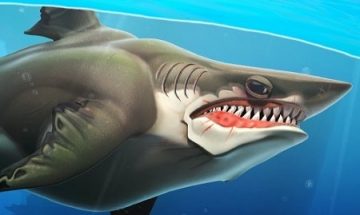 Hungry Shark Game Play Online Free